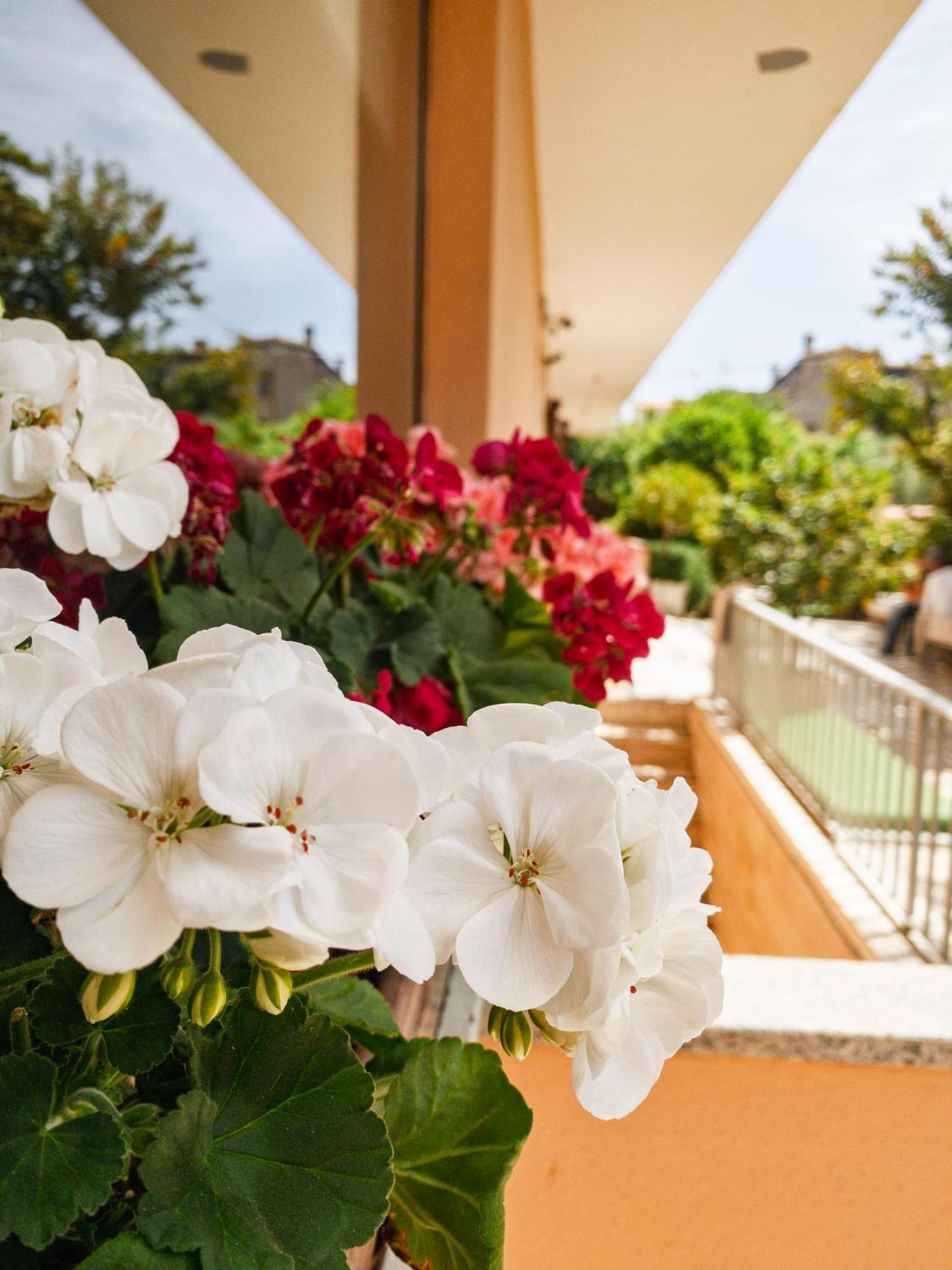 Hotel Donatella Posada  Dış mekan fotoğraf